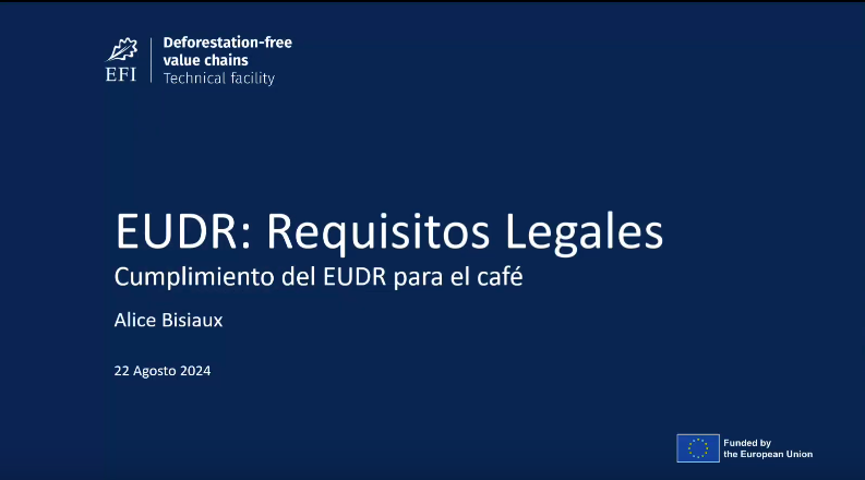 Reflexiones sobre los requisitos de legalidad del EUDR | Alice Bisiaux, Instituto Forestal Europeo | Comunidad de Aprendizaje Centroamericana